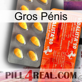 Gros Pénis new01